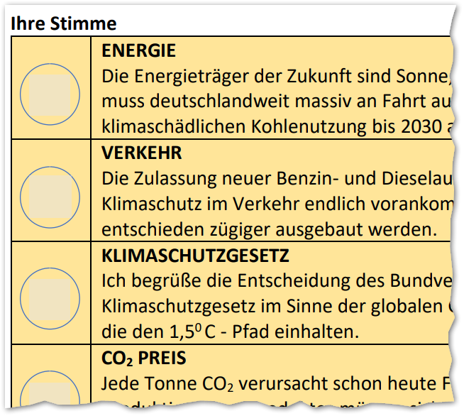 Stimmzettel