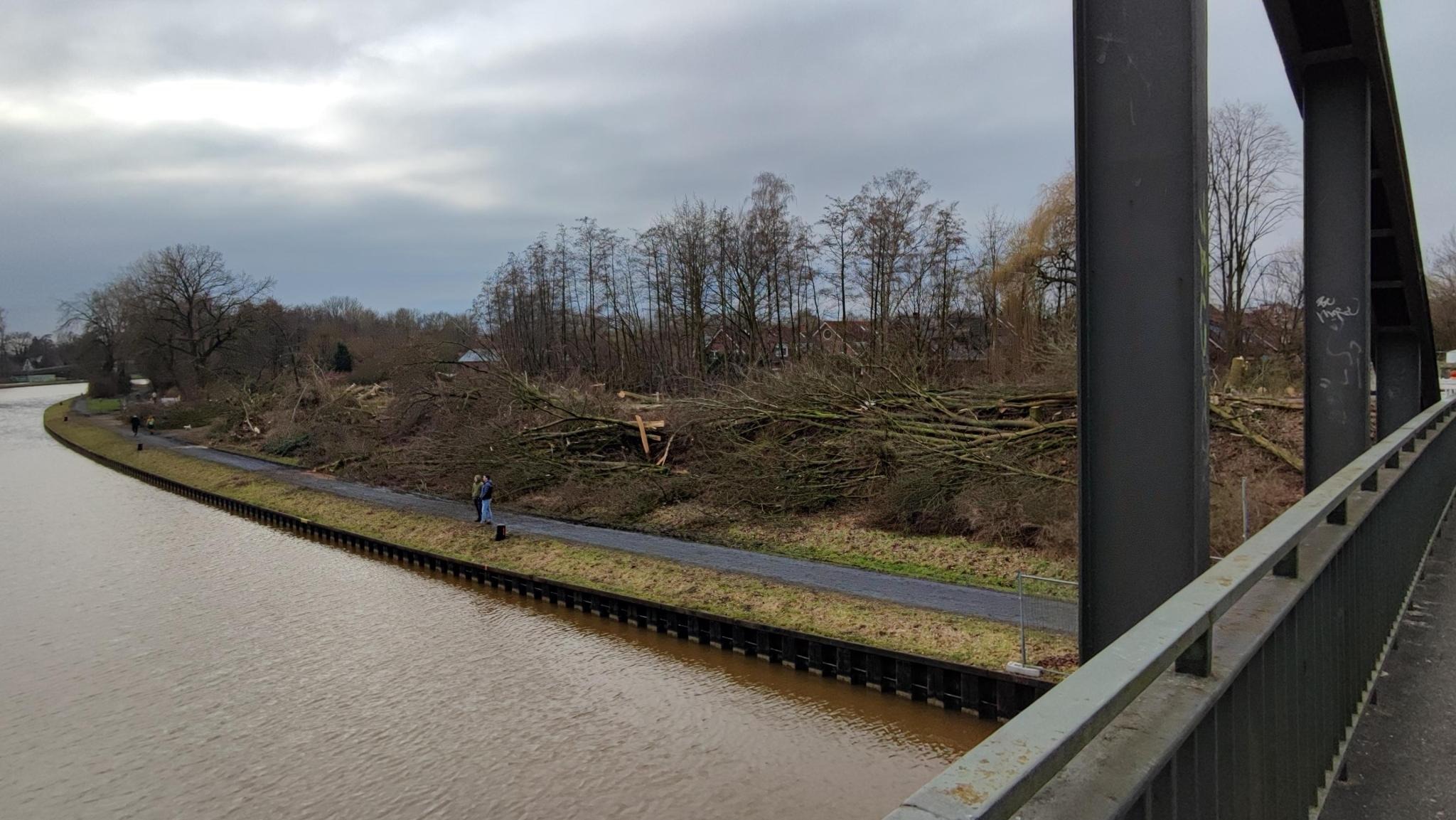 Rodung Tag 2 Kanalbäume